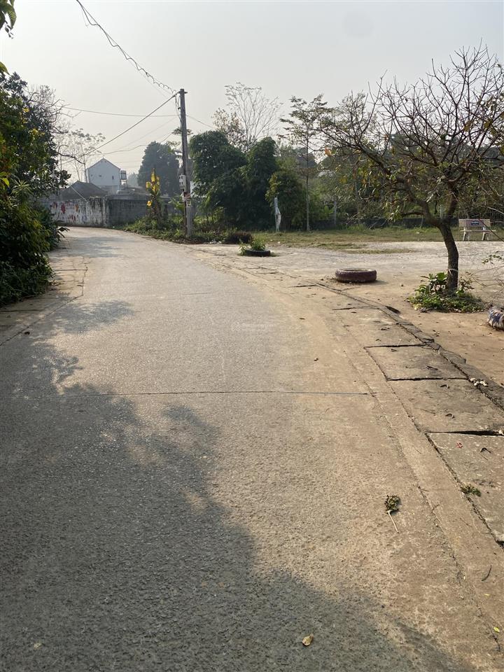 Bán gấp nhà mái thái 3pn + 2wc tại xã vân hòa, ba vì, hà nội, 4,3 tỷ, 611,9m2