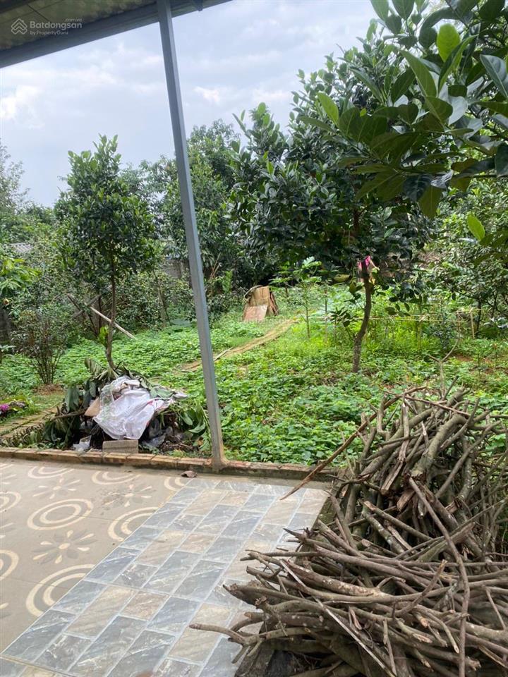 Bán gấp nhà mái thái 3pn + 2wc tại xã vân hòa, ba vì, hà nội, 4,3 tỷ, 611,9m2