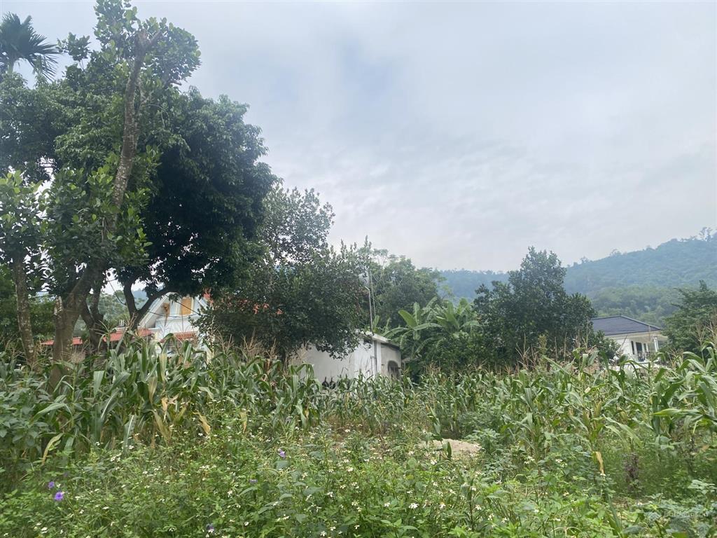 Bán đất 2 mặt đường trục chính suối mơ  yên bài, ba vì, giá siêu hời 6,15 tỷ, diện tích 448m2