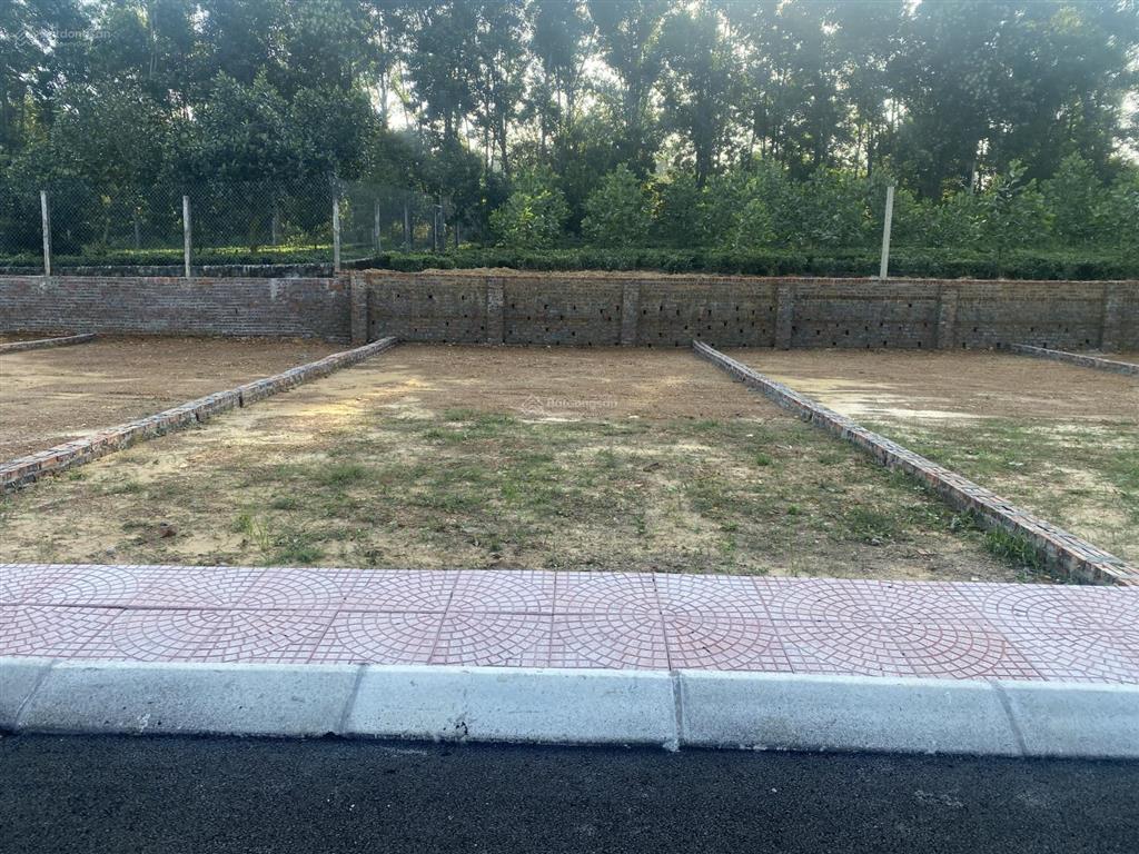 Bán đất sát hồ cẩm an  cẩm lĩnh, ba vì, hà nội. 100m2 full thổ cư, giá 790tr