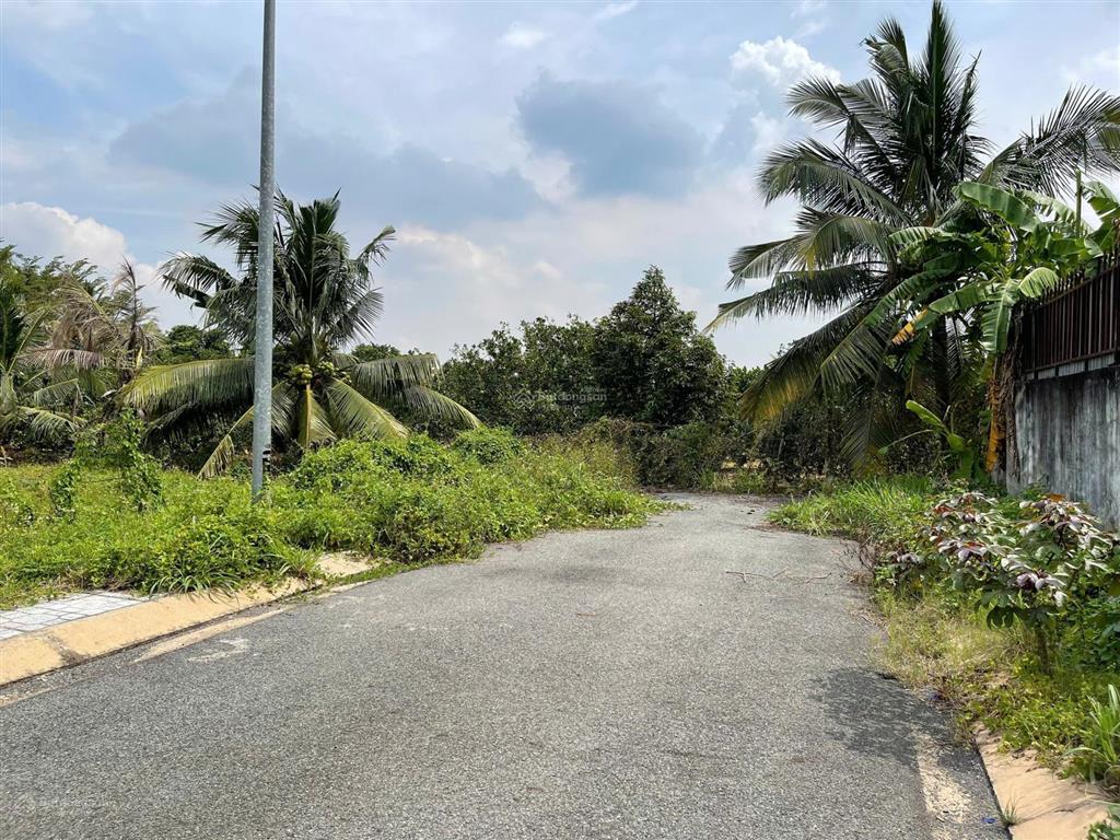 Chính chủ cần bán lô nền sát đường võ văn bích, xã bình mỹ, tp. hcm