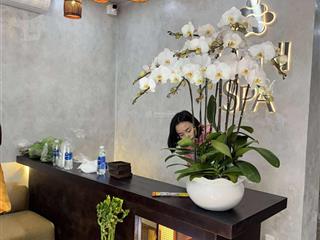 Nhượng bán nhà mặt tiền sơn trà, sẵn spa có dòng tiền gần 200 tr/1 tháng