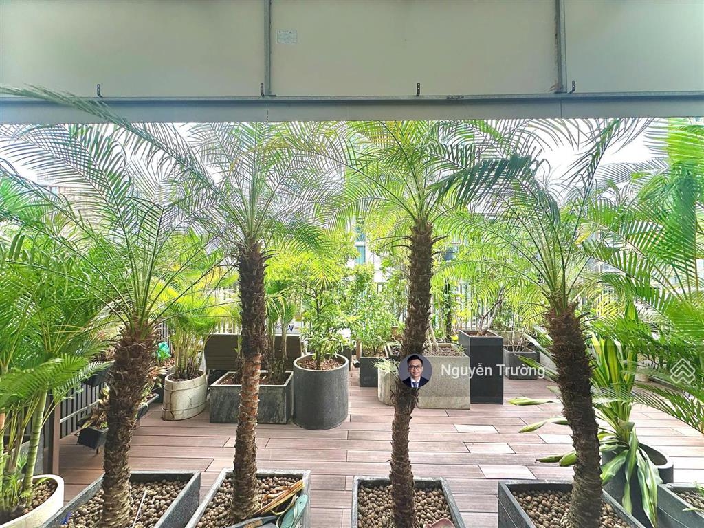 Căn sân vườn độc nhất vô nhị tại empire city chào bán giá nhỉnh 259tr/m2 đảm bảo không có căn thứ 2