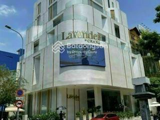 Bán building mặt tiền khu nguyễn bỉnh khiêm. dt 91m2 (6,5x14m), 8 tầng, hđt 75tr/th. giá 25 tỷ tl