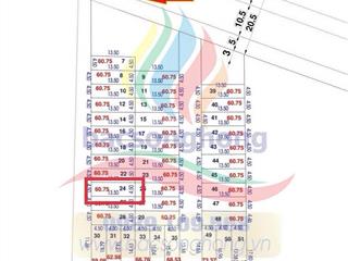 Bán đất đấu giá nguyên khê  phúc thịnh  đông anh .