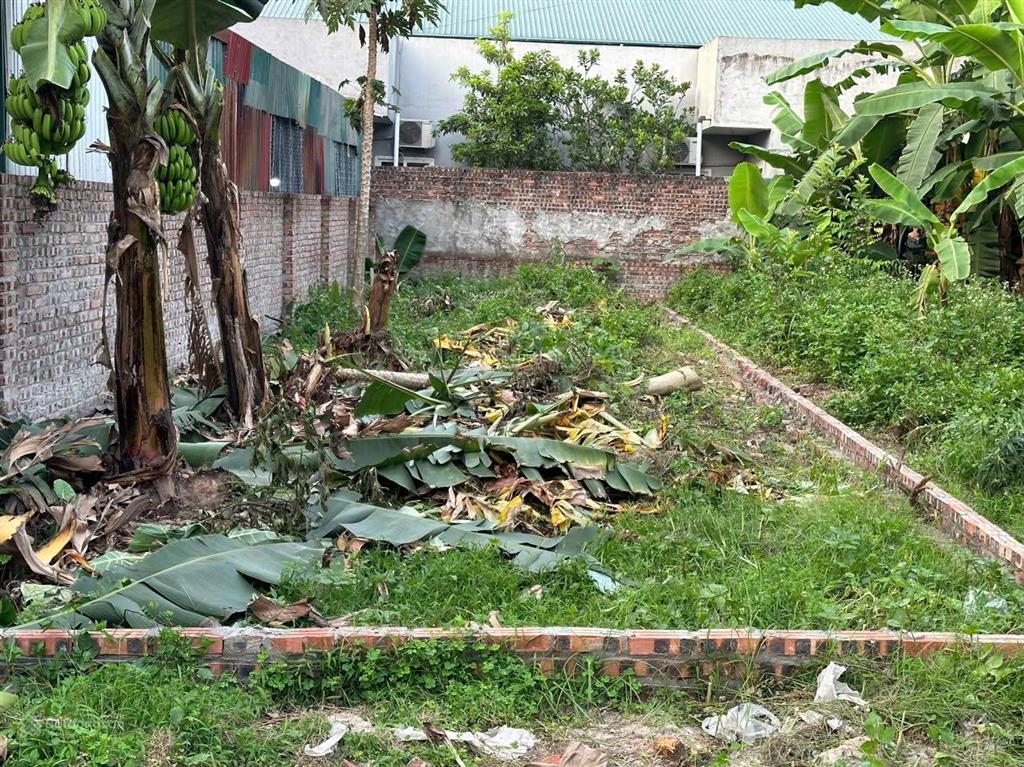 Bán đất hà lâm 2, thư lâm, đông anh, hà nội