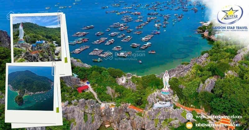 Bán lô đất nghỉ dưỡng trên núi 1000m