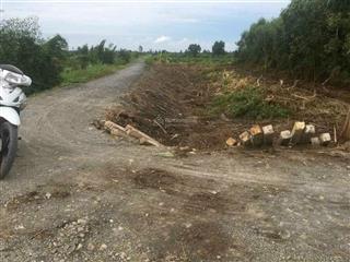 Vườn + thổ vừa đủ làm căn nhà vườn giải trí vui chơi cùng bạn bè cuối tuần cùng gia đình