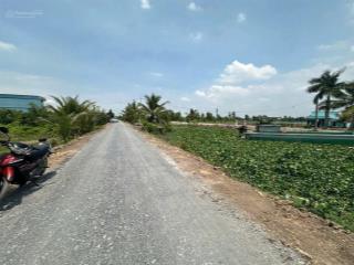 Đất vườn được chuyển thổ cư mặt tiền sông vàm cỏ giá rẻ đầu tư nhà vườn mua bán có lợi nhuận nhanh