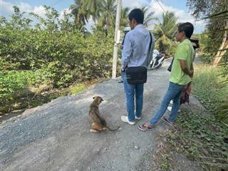 Kích thước đẹp thích hợp làm nhà vườn giá đầu tư được vị trí dân đông thuận tiện giao thông