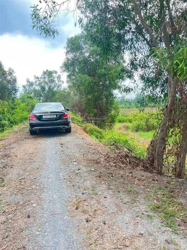 Đất mặt tiền thổ cư và vườn thích hợp mua làm nhà vườn view kênh lớn cực đẹp giá rẻ nhất thị trường