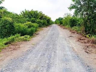 Đất mặt tiền sông vàm cỏ đông thổ cư và vườn giá phù hợp nhà vườn