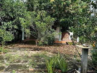 Vườn cây sắn vườn và thổ mua là cất nhà vườn quá đẹp giá quá rẻ đường thuận tiện, gần cao tốc