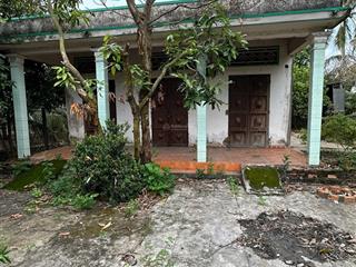 Đất thổ và vườn có sẵn nhà cấp 4 cũ vườn cây ăn trái nhiều loại thích hợp nhà vườn nghỉ dưỡng