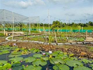 Mô hình nhà vườn đã sẵn sàng đẹp cực chất mua là hướng thụ không cần làm gì khác giá rẻ