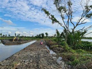 Đất trồng dừa tân trụ long an thích hợp đầu tư làm tài sản giá tốt nhất thị trường
