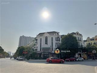 Giảm 3 tỷ, lô đất đấu giá tdc 31ha trâu quỳ, dt khủng hiếm 500m2  mt 19m  có 1 không 2