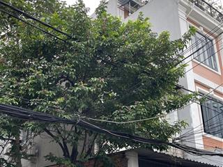 Chủ gấp bán hxh đất 5m ngang đã có gpxd 2lầu, sân thượng, đường số 10, tân quy, quận 7.