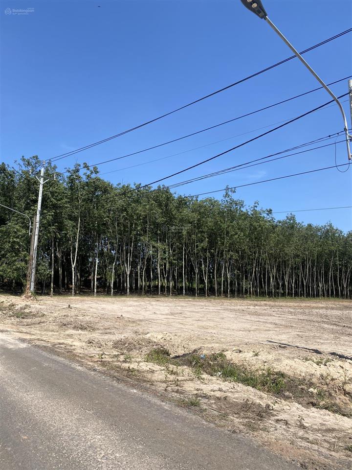 Bán nhanh lô đất 550m2, ngay sát trường học, minh thành, chơn thành, sổ sẵn, giá chỉ 1 tỷ 350 triệu