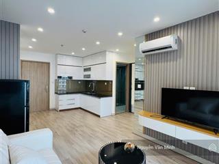 Chính chủ cần bán căn hộ 1 ngủ + diện tích 43m2 vinhome smart city hướng đông nam giá 3 tỷ 300