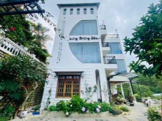 Bán trang trại khu nghỉ dưỡng, đường hoàng hoa thám, phường 10, đà lạt, 15 tỷ, 230m2