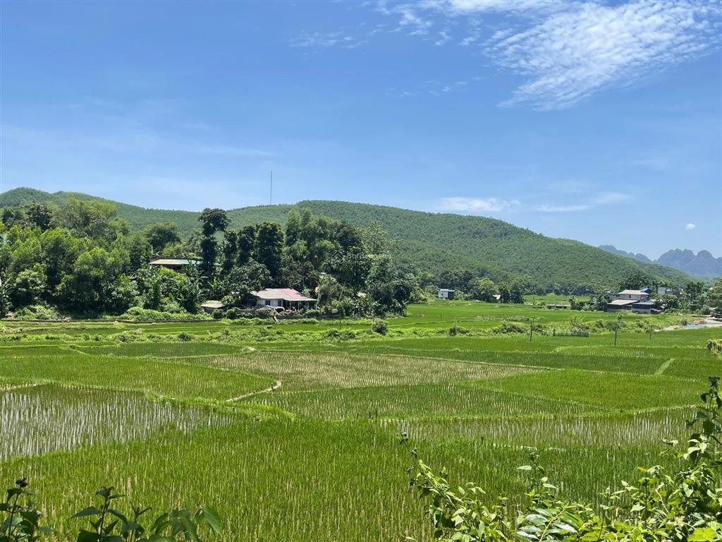 Chính chủ bán gấp 700m2 gần ngay sungroup kim bôi, thổ cư giá rẻ hòa bình
