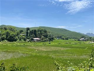 Chính chủ bán gấp 700m2 gần ngay sungroup kim bôi, thổ cư giá rẻ hòa bình