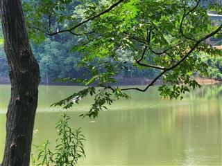 Gấp chính chủ bán gấp mảnh đất view hồ tuyệt đẹp, 1000m cực phẩm lạc sơn hòa bình giá rẻ