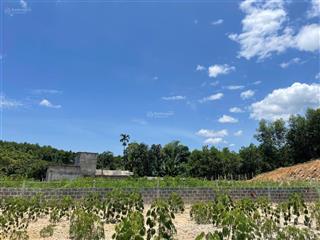 Hot hot hàng hiếm 2000m2 view trực diện sungroup kim bôi giá rẻ chỉ 1,xtr/m2 chính chủ cần bán gấp