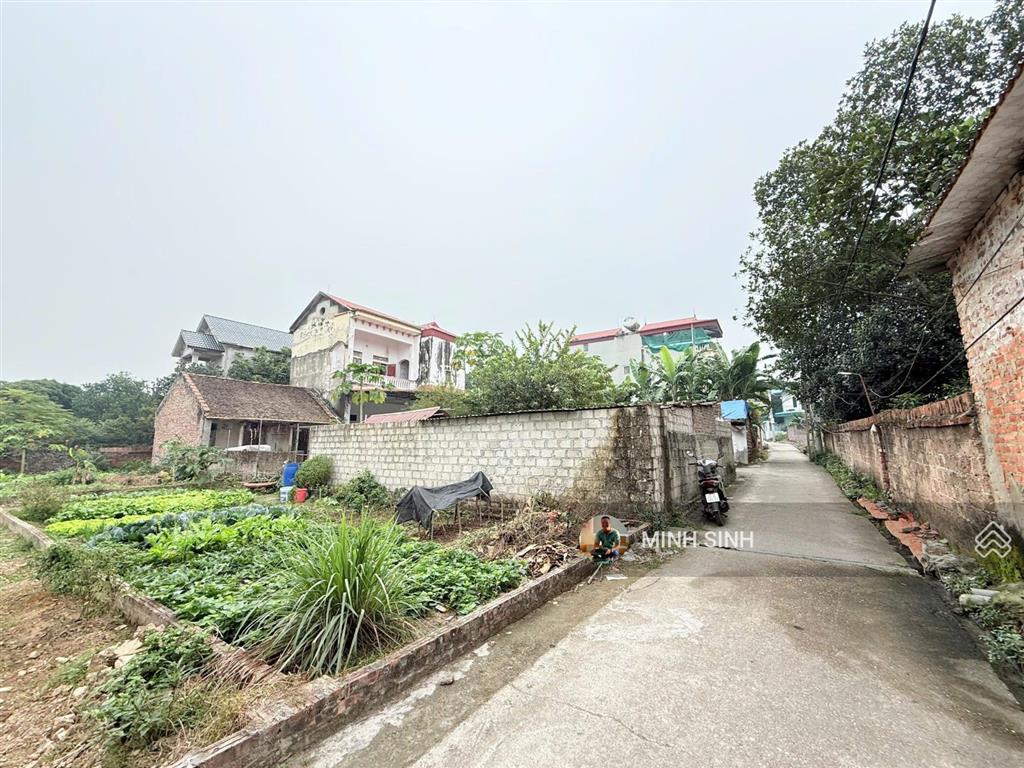 Cc gửi bán nam cương xã nội bài , hà nội.... diện tích 83m mặt tiền 5.5m, nở hậu đẹp