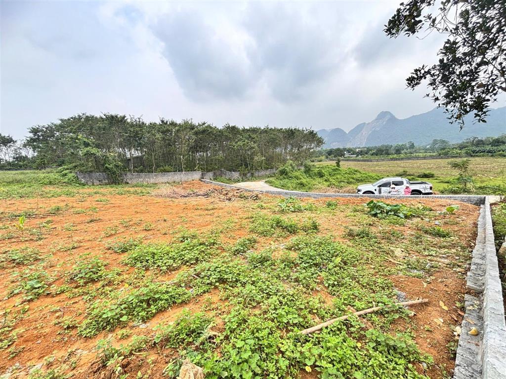 Cần bán lô đất nghỉ dưỡng s= 3000m2 có 400m2 ont giá cực tốt chỉnh nhỉnh 2tr/m2 . view thoáng đãng