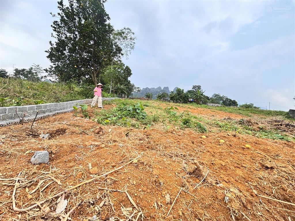 Cần bán lô đất nghỉ dưỡng s= 3000m2 có 400m2 ont giá cực tốt chỉnh nhỉnh 2tr/m2 . view thoáng đãng