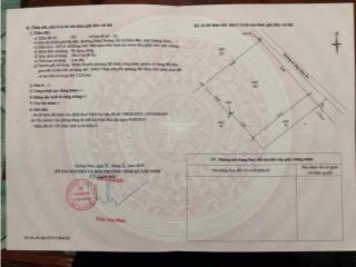 Bán đất phường điện dương, điện bàn, quảng nam, 10tỷ, 1425.4m2 (38mx38m) đường bt 5,5m. giá tốt