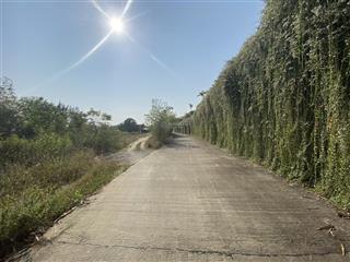 Chính chủ bán lô 200m2 đất ở lâu dài . đường 5m qh 21m , đối diện căn hộ ks x2, ph điện bàn đông