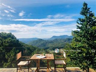 Cần bán villa view rừng thông thu nhập khùng 175 tr/ tháng tại đường hoàng hoa thám, p10, đà lạt