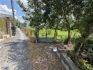 Chủ cần bán 1493m2 mặt tiền đường 7 cá 8 luông, gần trường cấp 2 hưng long, thổ cư 1226m2 giá 16 tỷ
