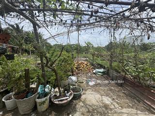 Chính chủ gửi bán 115,2m2 thổ cư, hẻm xe ba gác đường bờ xe lam, vòng xoay an lạc 1km. giá 2tỷ75