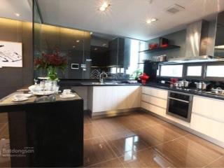 Chính chủ bán gấp ch chung cư dolphin plaza, tk 4n3vs dt 186m2, giá 60tr/m2,  0978 606 ***