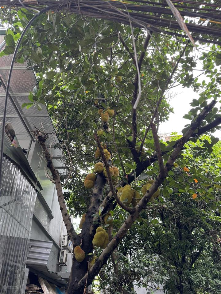 Chính chủ cần bán lô đất 100m2, mt 6.4m, nở hậu, ngõ thông, sđcc tại phú thượng, tây hồ