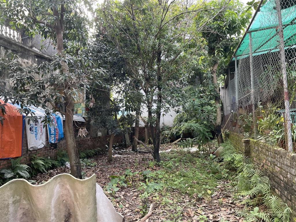 Chính chủ cần bán lô đất 100m2, mt 6.4m, nở hậu, ngõ thông, sđcc tại phú thượng, tây hồ