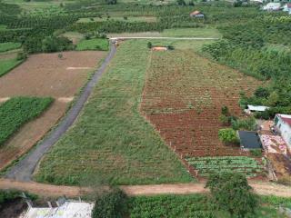 7,3 sào đất (7300m2) 3 mặt tiền  tại đức trọng  sẵn 1000m² thổ cư sổ hồng riêng