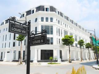 Bán lô góc siêu phẩm dãy l8 đoạn đầu hồi của dự án giá bán gồm đất + xây 198m2