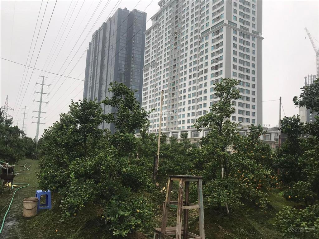 Bán đất 330m2, mặt tiền 15m, phú thượng gần ciputra giá 3 tỷ. 0382 276 ***