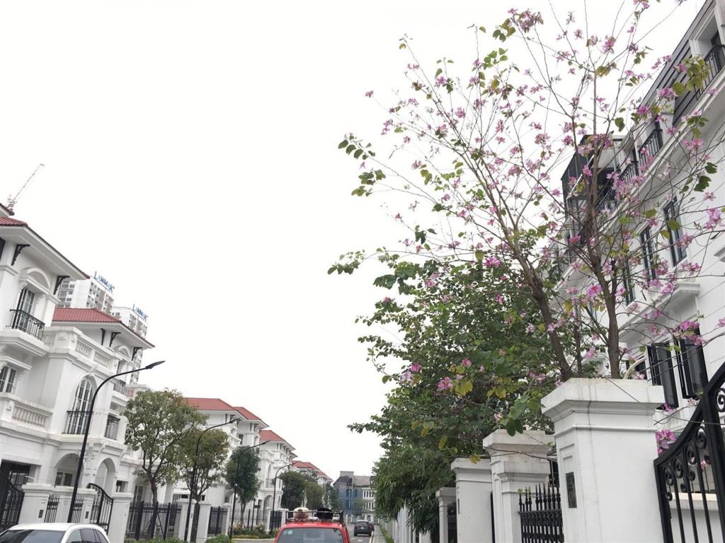 Bán shophouse embassy garden, ngay kđt tây hồ tây, vị trí đẹp, giá tốt 0945 751 ***