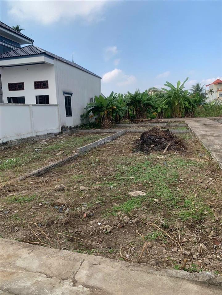 Bán gấp 9 lô đất sẵn sổ đỏ ô tô vào, sát đường cầu rào 3  hoà nghĩa  dương kinh chỉ 20tr/m2