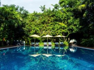 Cần bán biệt thự đơn lập vườn tùng ecopark, 324m2 giá nhỉnh 50 tỷ.  0932 560 ***