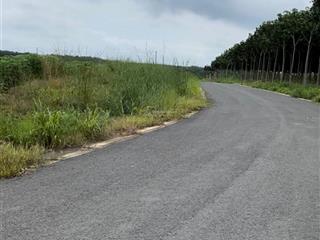 Bán đất đường số 12 nha bích, 4000m2, lô góc 2 mặt đường nhựa 8m