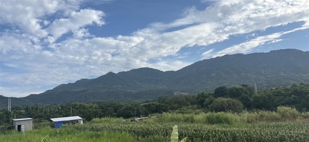 Bán đất 154m2 tại cam nghĩa, cam ranh, khánh hoà mặt tiền 5m, hướng đông nam.  0989 334 ***