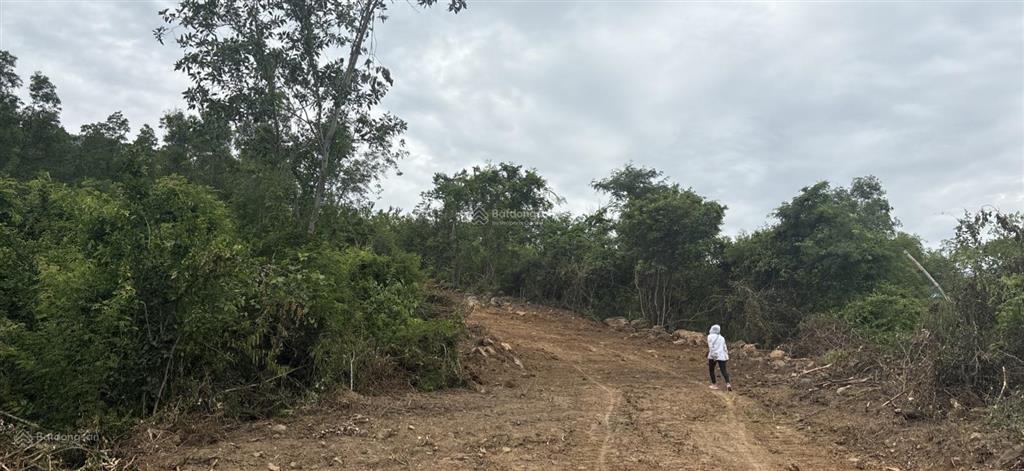 Bán đất 154m2 tại cam nghĩa, cam ranh, khánh hoà mặt tiền 5m, hướng đông nam.  0989 334 ***