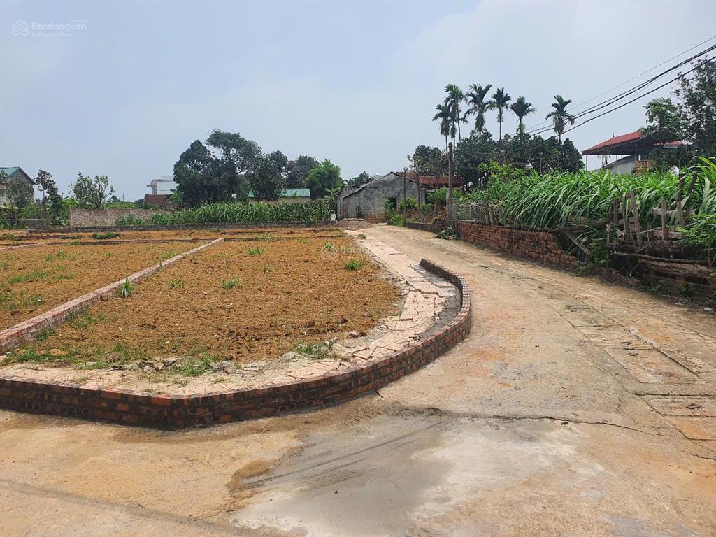 Cần bán gấp  lô góc 106m² full thổ cư  trung tâm thôn 3 phú cát  đường ô tô tránh  giá cực tốt